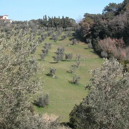 Holiday home Riparbella Riparbella