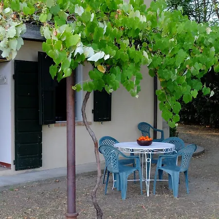 Riparbella Holiday home *