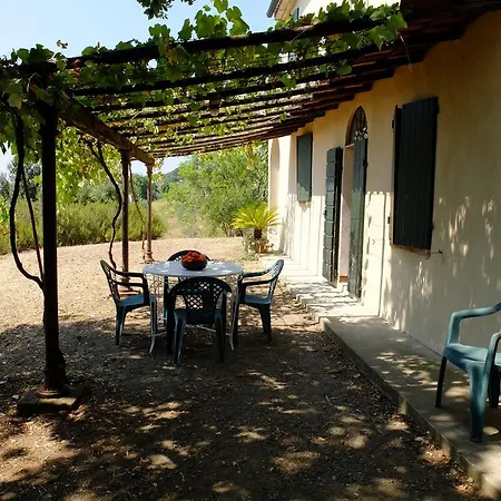 Riparbella Holiday home *