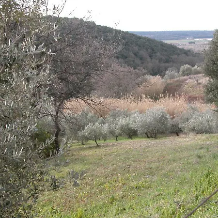Riparbella Holiday home
