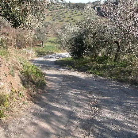 Holiday home Riparbella Riparbella